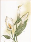 Lanarte Borduurpakket Calla Lily 50 x 60 cm