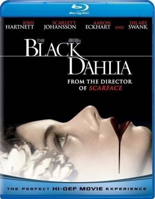 Universal the black dahlia