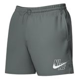 NIKE Nike Swim Breaker Swim Logo 5" Volley Short Cool Grey