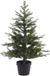 Everlands Grandis sapin de Noël artificiel pré-illuminé d63h90 cm80l vert Noël