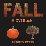 The Fall CVI Book: Accessible book For Children With Cortical Visual Impairment