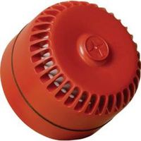 Compro Eaton Slow Whoop Roshni Rood met Diepe Basis - 540503FULL-0403X
