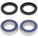 All Balls Racing All Balls 25-1273 Achterwiellagerset Zilver