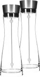 Haushalt International Carafe/pichet - Set de 2x pièces - 1 litre - verre - brochette à fruits en acier inoxydable - brosse à vaisselle spéciale