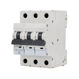 Automatische Schneider Electric Automatische schakelaar 6KA 3-polig B 16A