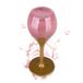Accentra Let's celebrate douchegel voor vrouwen in champagne-/champagneglas look - bad- en douchegel met theeroos & fluwelen geur, douchegel in champagnedesign, cadeau-idee voor vrouwen en meisjes