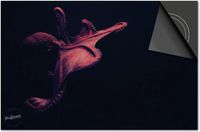 Dietrix Inductie beschermer 78x52 - Under the Sea - Octopus