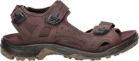 Ecco Offroad heren sandaal - Expresso - Maat 41