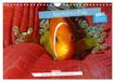Anemonefish Calvendo Anemonefish - always busy - always on the move (Wall Calendar 2027 DIN A4 landscape)