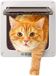 Sailnovo Kattenklep, 4-weg magneetsluiting voor katten en kleine honden, hondendeur, kattendeur, huisdierklep, 19 x 20 x 2,1 cm, S, wit