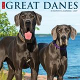 Great Willow Creek Press Great Danes 2027 12 X 12 Wall Calendar