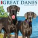 Great Willow Creek Press Great Danes 2027 12 X 12 Wall Calendar