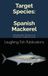 Target Icecat Spanish Mackerel: Unlocking the Secrets of an American Coastal Favorite