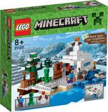 LEGO Minecraft De Sneeuwschuilplaats 21120