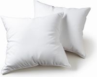 Kussen Bol Kussen 45 x 45 cm, set van 2 sierkussens voor bed en bank, binnenkussen, hypoallergeen, zacht sierkussen, met kussensloop, katoen en polyester, afneembaar en wasmachinebestendig, wit
