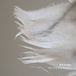 Marching Rob Burger - Marching With Feathers (LP)