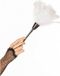 Funny Fashion Witte veren plumeau