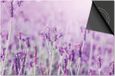 Dietrix Inductie Beschermer - 81x52 cm - Lavendel Veld