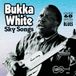 Konkurrent Arhoolie Records Bukka White - Sky Songs (CD)