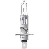 HELLA 8GH 002 089-153 Gloeilamp - H1 - High Wattage only for offroad applications - 12V - 100W - Type grondplaat: P14,5s - Doos - Aantal: 1
