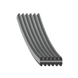 febi bilstein 40712 V-ribriem, aantal ribben 6, 1 stuk