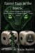 Easter Eggs In The Matrix