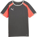 PUMA IndividualLIGA Jersey Heren Grijs M