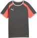 PUMA IndividualLIGA Jersey Heren Grijs M