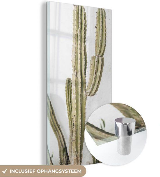 MuchoWow® Glass Painting 60x120 cm - Acrylic Glass Painting - Cactus - Summer - Plants - Photo on Glass - Paintings
