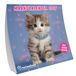 Interstat Rachael Hale Katten Kalender 2026