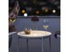 Foscarini Lampe à poser Fleur Portable Vert sauge