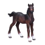 Mojo Fun Hanoverian Foal Bay