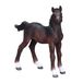 Mojo Fun Hanoverian Foal Bay