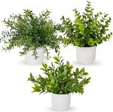 Ibenzoa® Set van 3 levensechte kunstplanten in pot