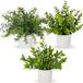 Ibenzoa® Set van 3 levensechte kunstplanten in pot