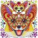 Diamantmozaïek Chihuahua joyeux 30x30 cm