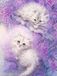 Peinture diamant: Deux chats blancs, 35x45 cm