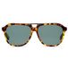 Skull Rider Stephen James Sonnenbrille Braun Herren