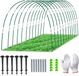 Bol Plant Tunnelbogen - 36 stuks, 43cm/17 inch, tuinhoepels voor netten, broeikasframe, groene tuin cloche, DIY Kashoepels, koude frametunnel voor tuinrijbedekking, planten en fruitgroenten