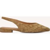 Stefano Lauran Hakken 6155 Camel