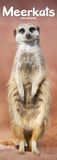 Meerkats Slim Hardcover