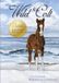 Wild Colt - Hardcover