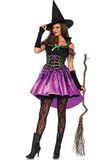 Leg Avenue Spiderweb Witch Kostuum voor Dames - Maat M