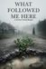 What Followed Me Here: A Novel