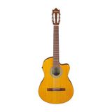 Ibanez Akoestische gitaar/GA3ECEOAM standaard