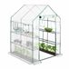 Relaxdays Broeikas 4 Vensters - Hobbykas - Tuinkas - 2 m² - Transparant Groen