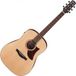 Ibanez AAD100E Open Porore Natural Gitaar + Voorversterker