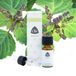 Chi Patchouli Eko Olie - 8714243044869
