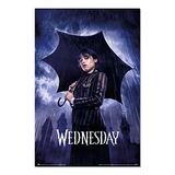 Grupo Erik Wednesday Paraplu poster - 91,5 x 61 cm