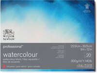 Winsor & Newton Professional Aquarelpapier Grain satiné Blok 4-zijdig gelijmd 300gr 20 vel 22,9x31cm